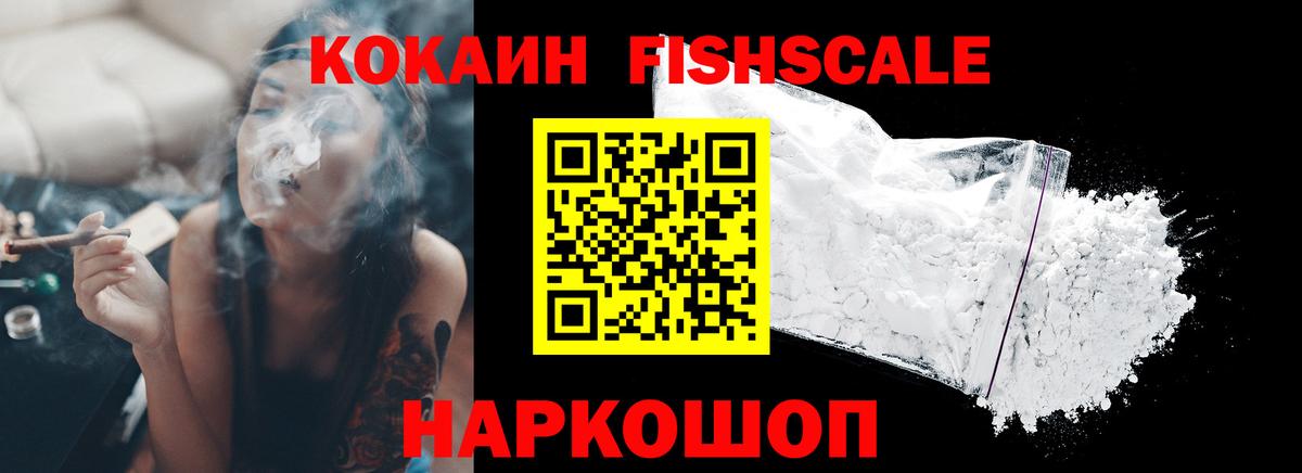 Кокаин Fish Scale  Вход с VPN  Кокаин  Сургут 