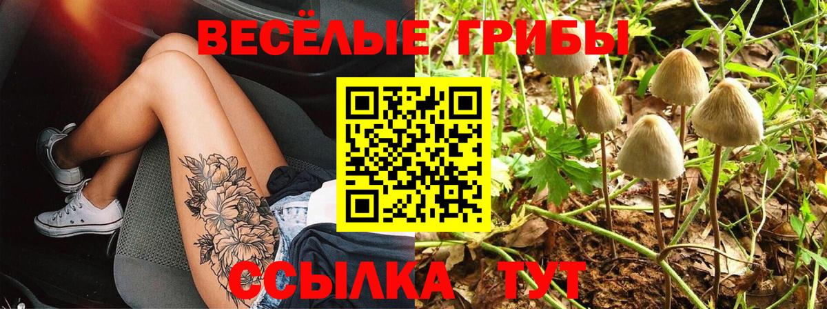Галлюциногенные грибы Cubensis Сургут