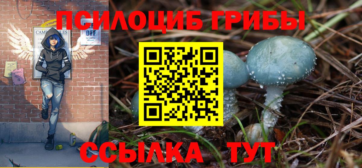 Галлюциногенные грибы Psilocybe  Вход с VPN  Псилоцибиновые грибы MAGIC MUSHROOMS  наркотики  Сургут 